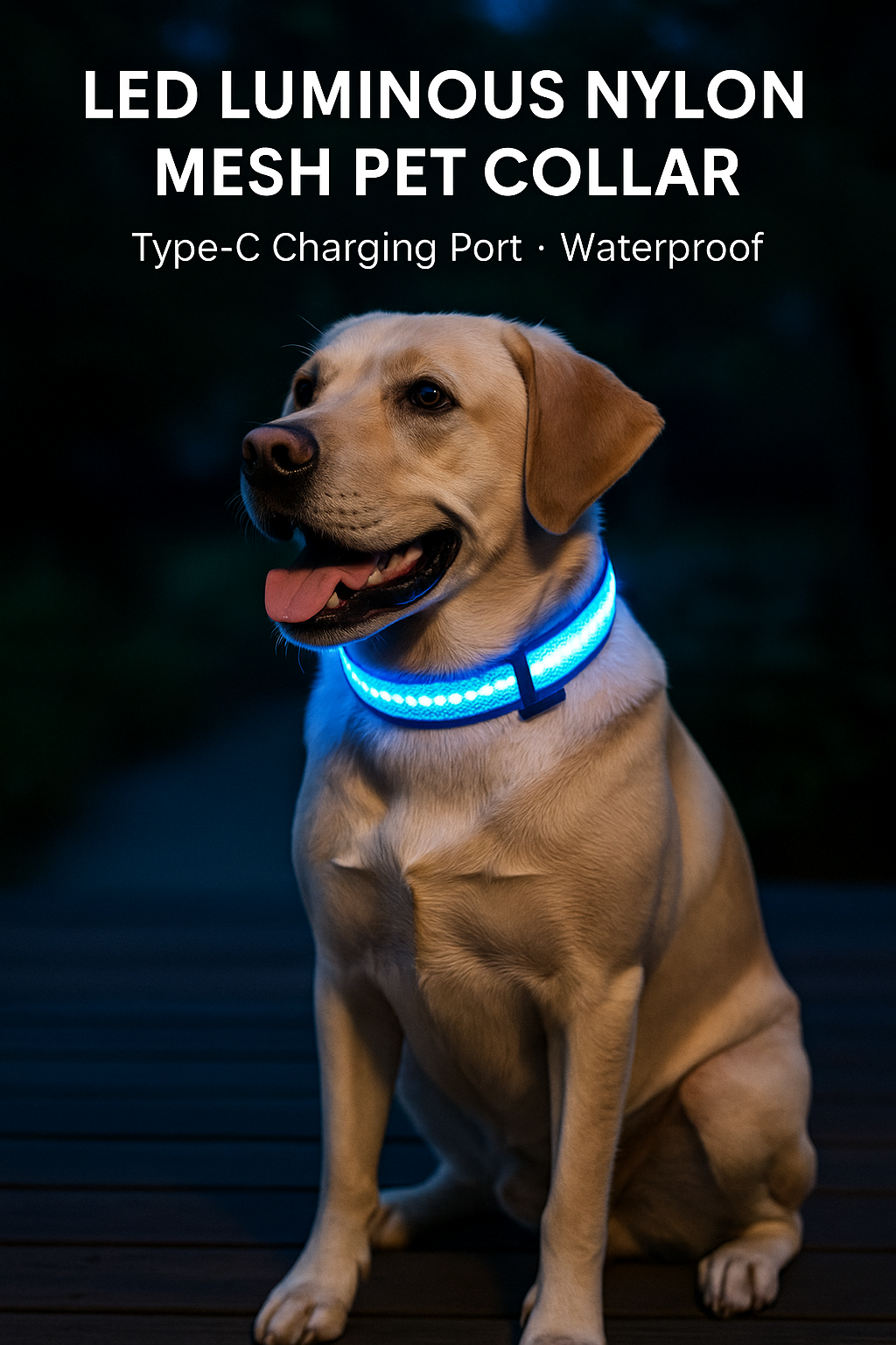 Collier pour Animaux en Nylon