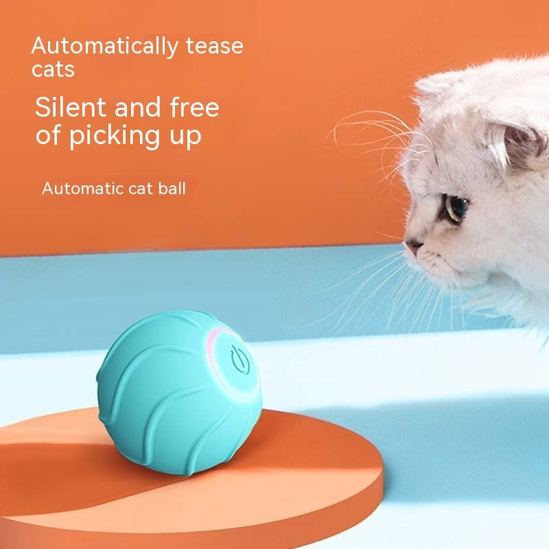 Balle Interactive Intelligente pour Chat